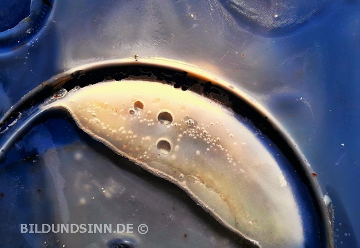Terrassenbilder 7