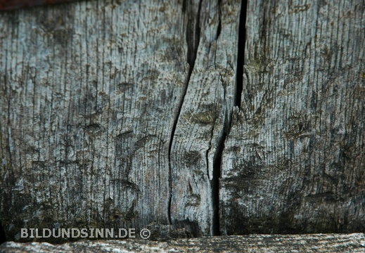 Holz (1)